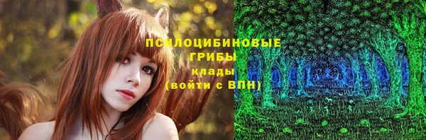 гашик Абдулино