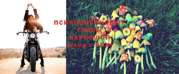 герыч Абаза